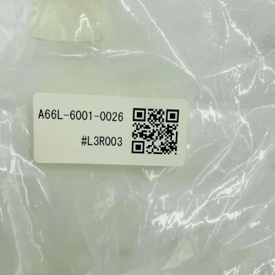 FANUC A66L-6001-0026#L3R003